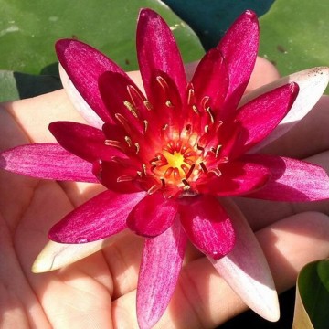 405287146676129669498342091513047242768384n