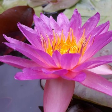 4066337418459006988199721362749838340390912n