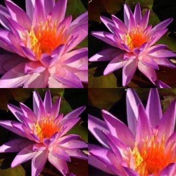 4068547410674144333832726511730046384734208n