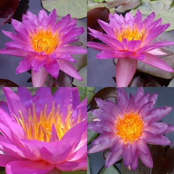 4075646117790382821735825435377981780393984n