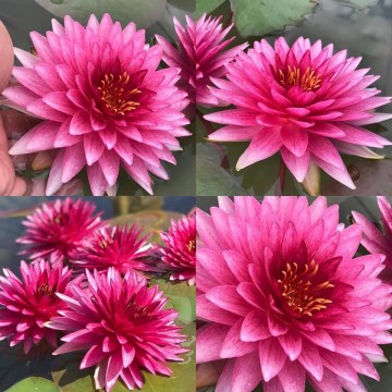 4716479023399633527448403345086105409028096n